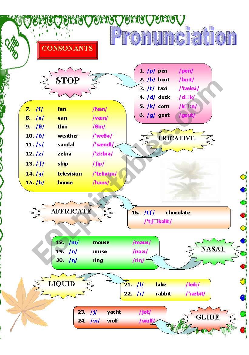 Luyện phát âm và ngữ điệu