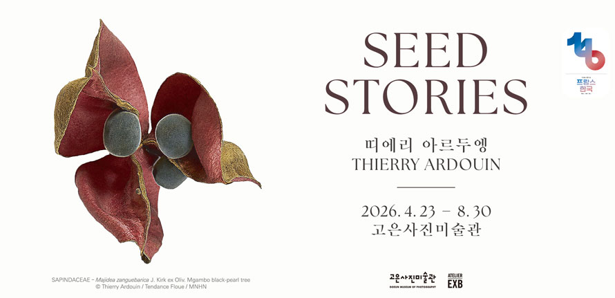 Workshop và chương trình trải nghiệm tại Busan