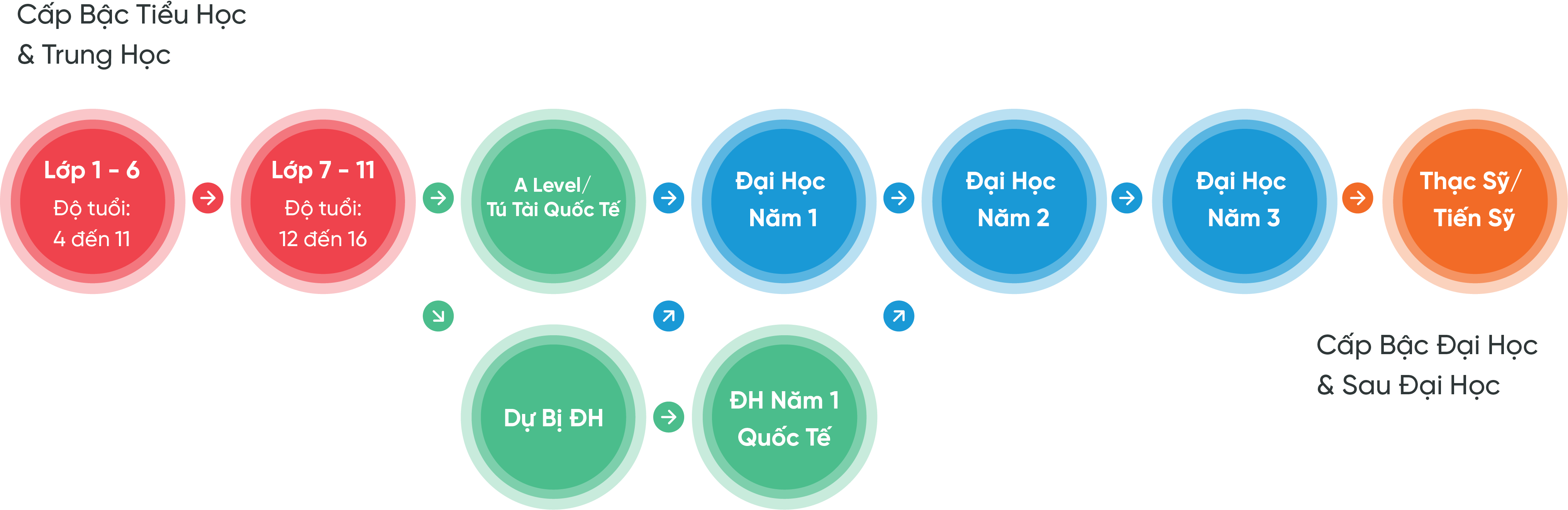 Cấu trúc các bậc học trong hệ thống giáo dục Vương quốc Anh