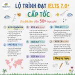 Lộ trình học IELTS theo giai đoạn