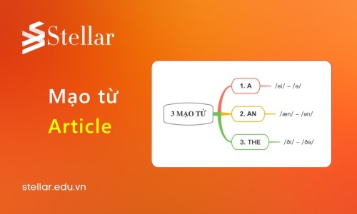 Quy trình kiểm tra mạo từ