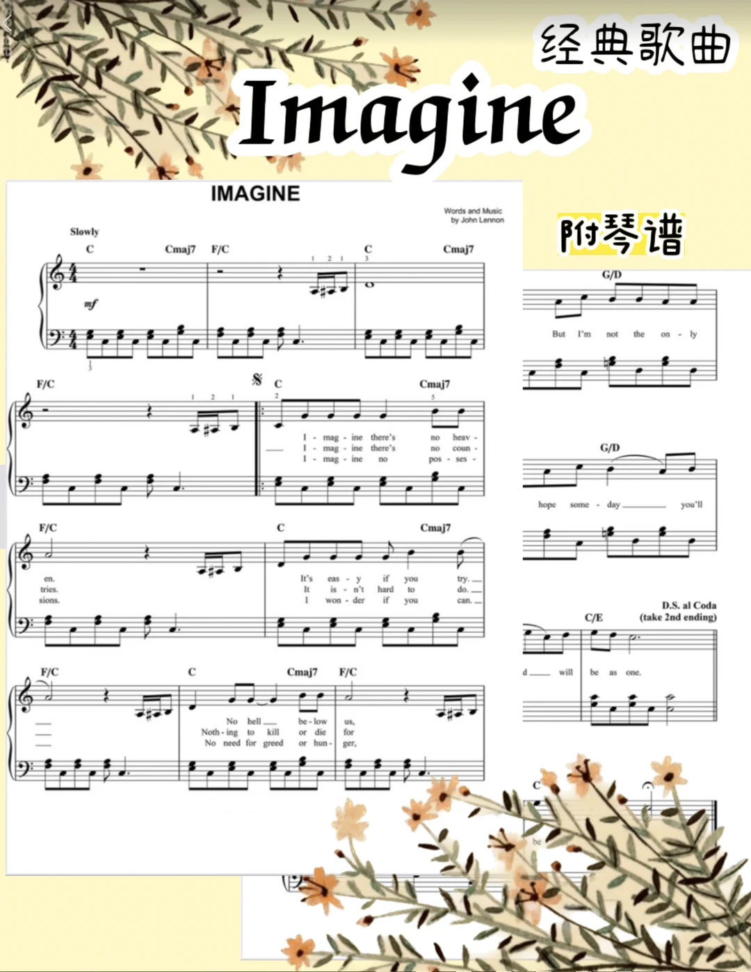 Các lỗi thường gặp với imagine
