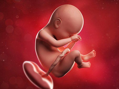 Chì có thể bị truyền từ mẹ sang con qua nhau thai