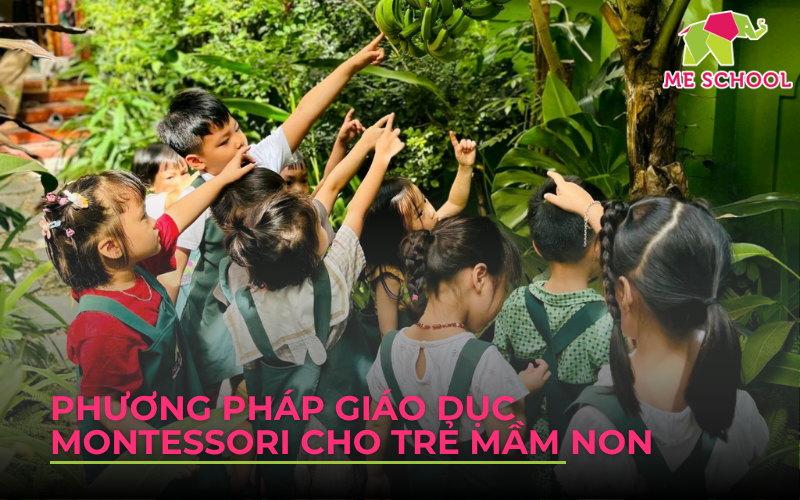 Montessori cho trẻ mầm non