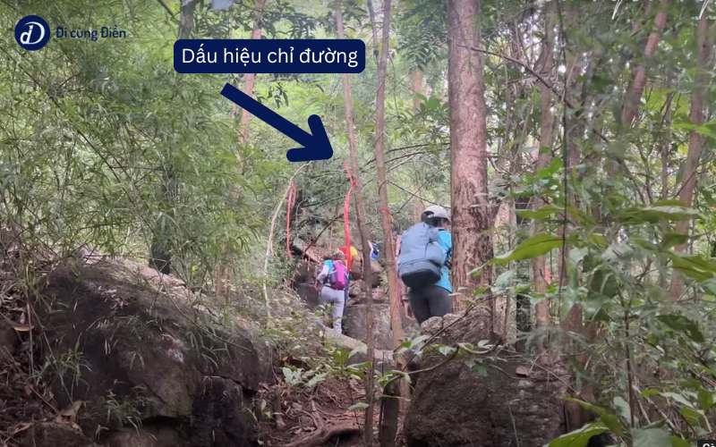 Dấu hiệu chỉ đường bằng sơn nổi trên đá dọc tuyến trekking