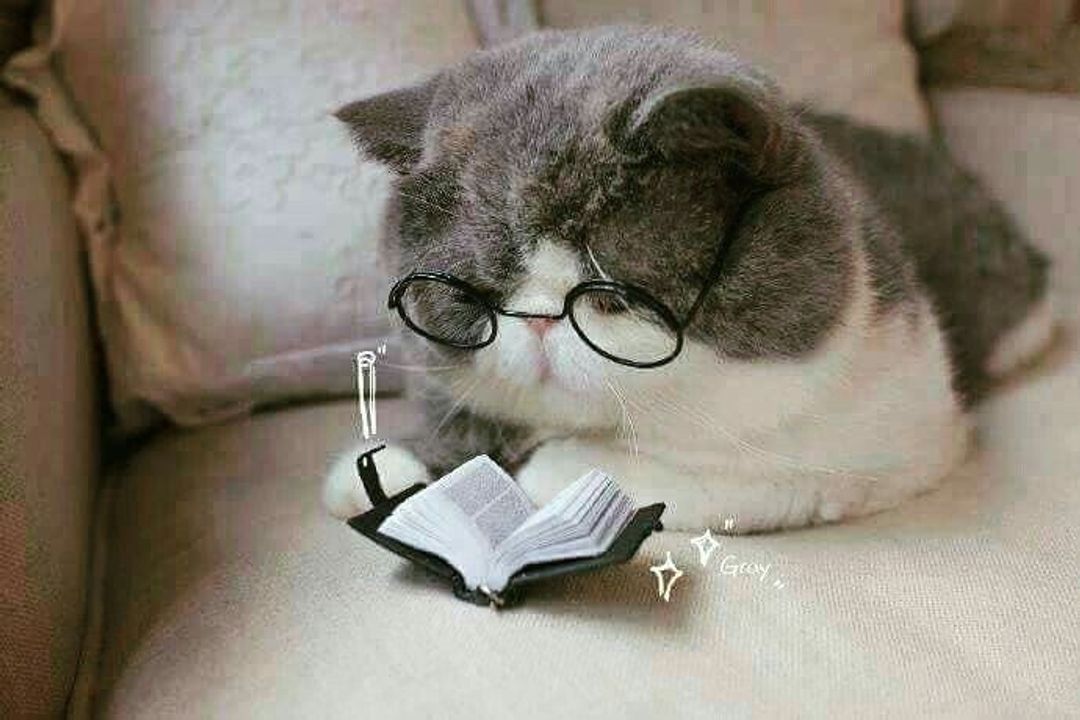 Học sinh làm bài phân biệt tiếng với từ