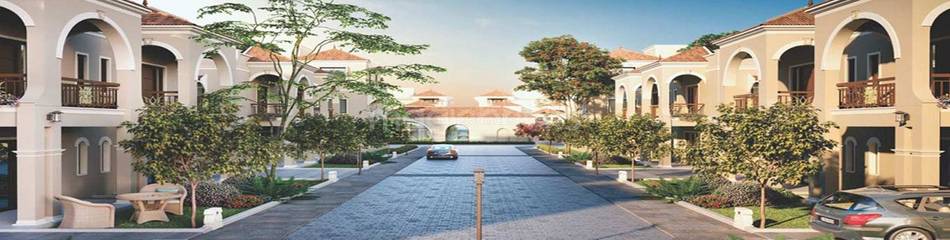 Cầu nguyện tại tháp Chàm