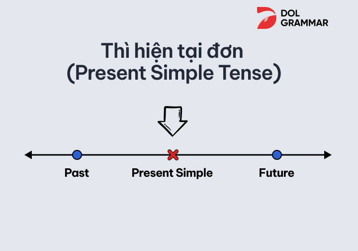 Thì hiện tại đơn