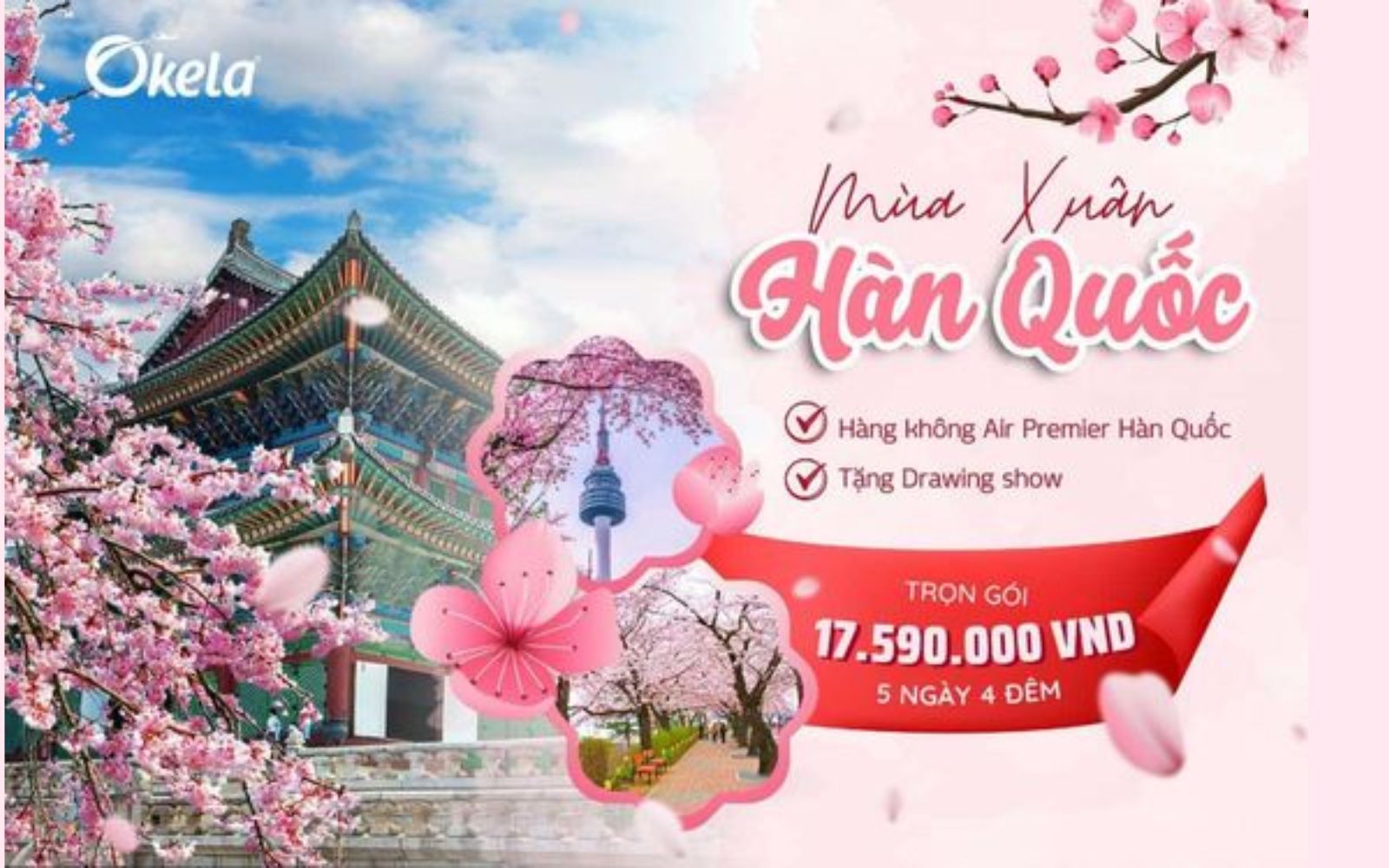 Du học sinh trên hành trình mới