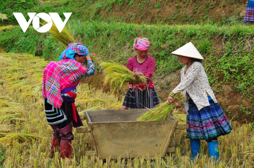 Nâng tầm Anh ngữ qua văn học đời sống