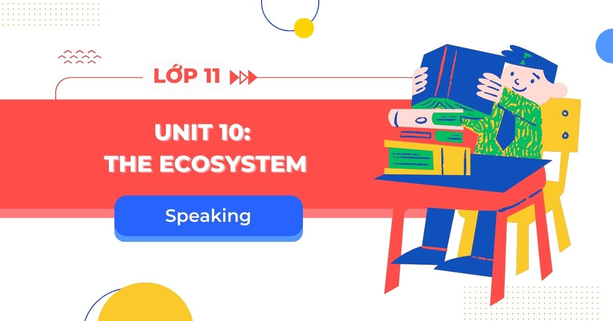 Cấu trúc bài Speaking tiếng Anh 11