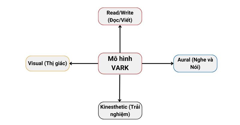 Phương pháp học qua hình ảnh