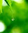 Trẻ tự tin giao tiếp sau thời gian học