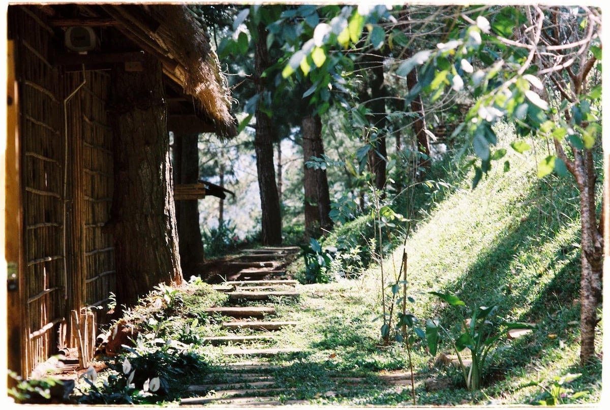 Cảnh quan lãng mạn tại Lavenderdalat Gardens