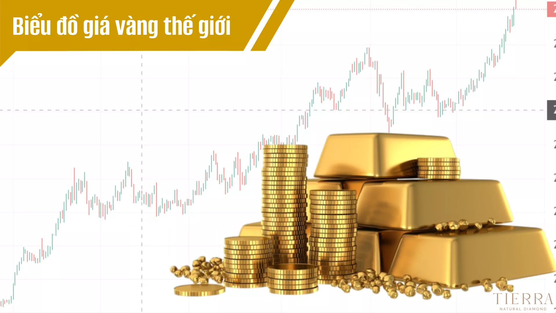 Biểu đồ minh họa lựa chọn váy