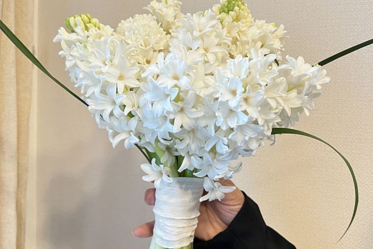 Tất cả màu trắng tạo vẻ sang trọng và tối giản