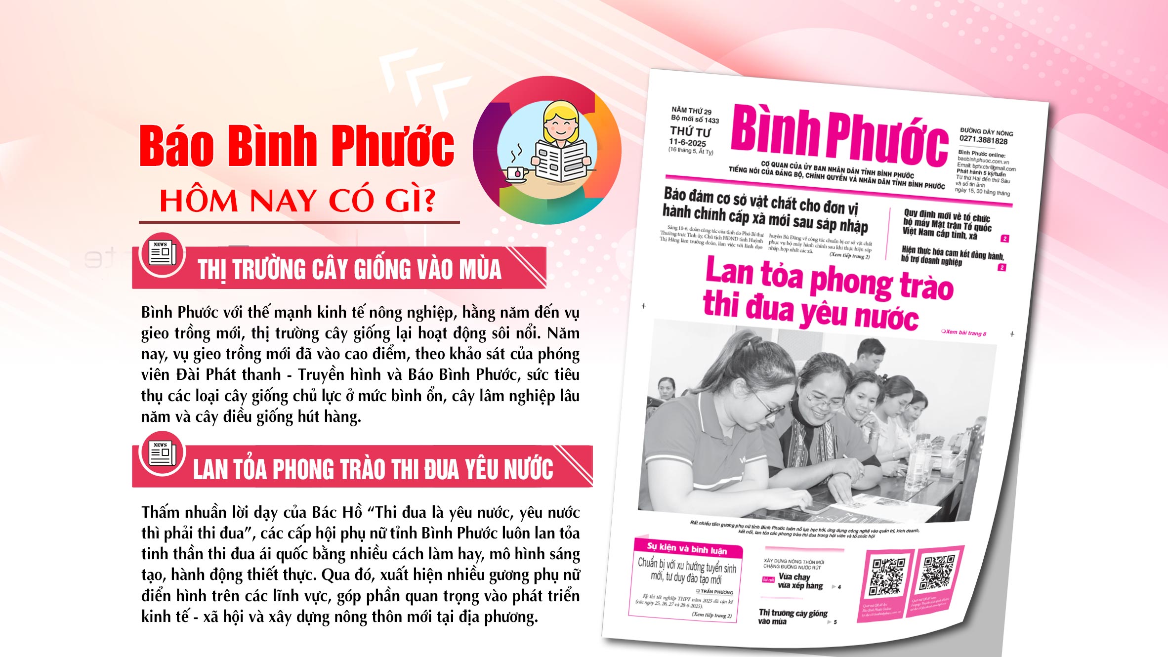 Đọc báo giá trang trí