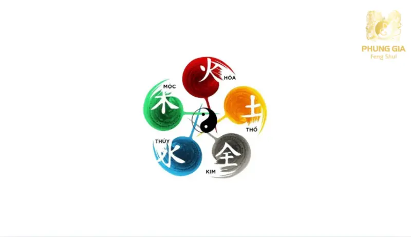 Việc xem xét kỹ lưỡng tuổi