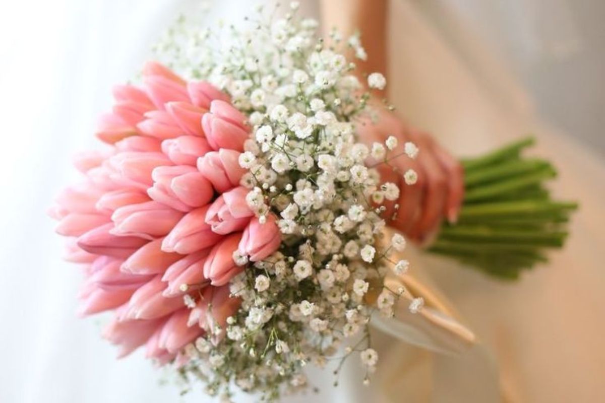Mẫu đơn và tulip rực rỡ sắc xuân