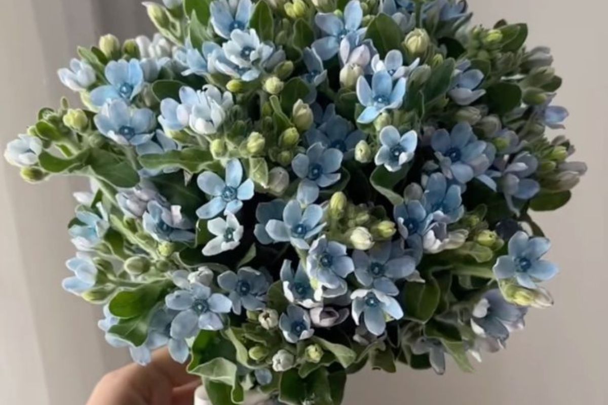 Trắng xanh tạo phong cách hiện đại và tinh tế