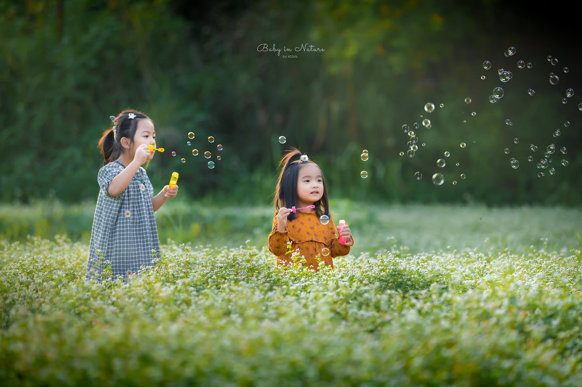 Khu vực bãi cỏ rộng rãi và râm mát rất thích hợp cho gia đình dựng lều picnic