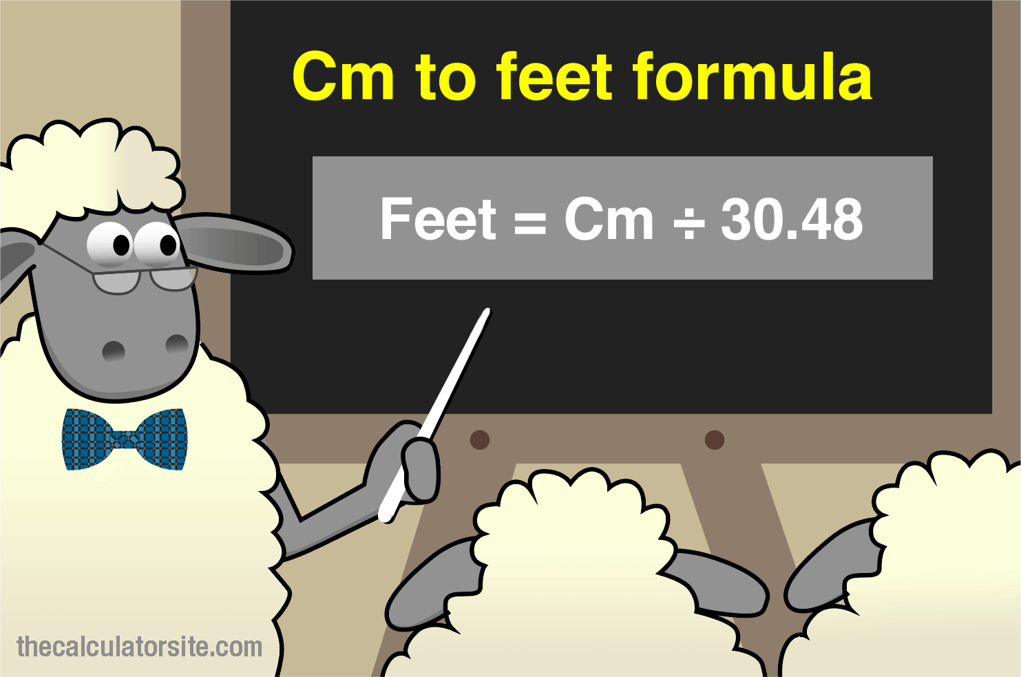 Công thức đổi cm sang feet