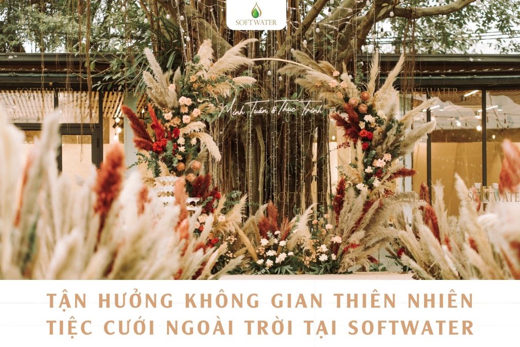 Không gian cưới giữa thiên nhiên