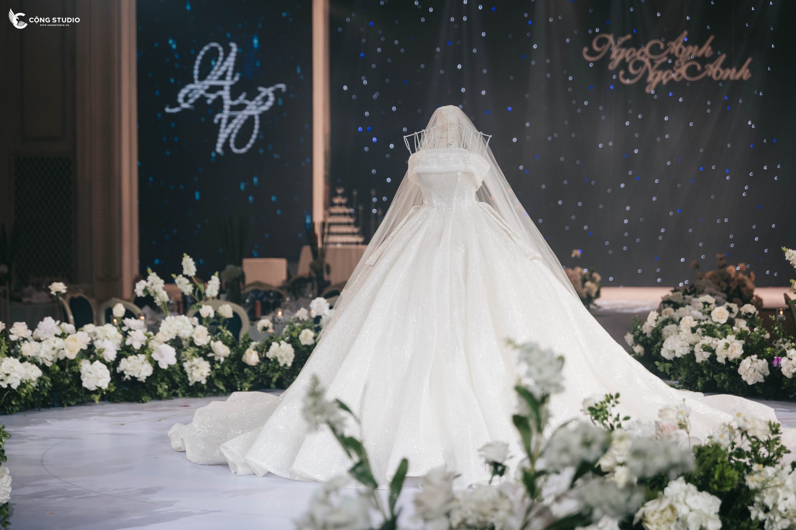 Nhiếp ảnh gia chuyên nghiệp chụp phóng sự cưới