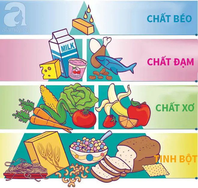 Nguyên tắc dinh dưỡng 4 nhóm chất cho trẻ ăn dặm
