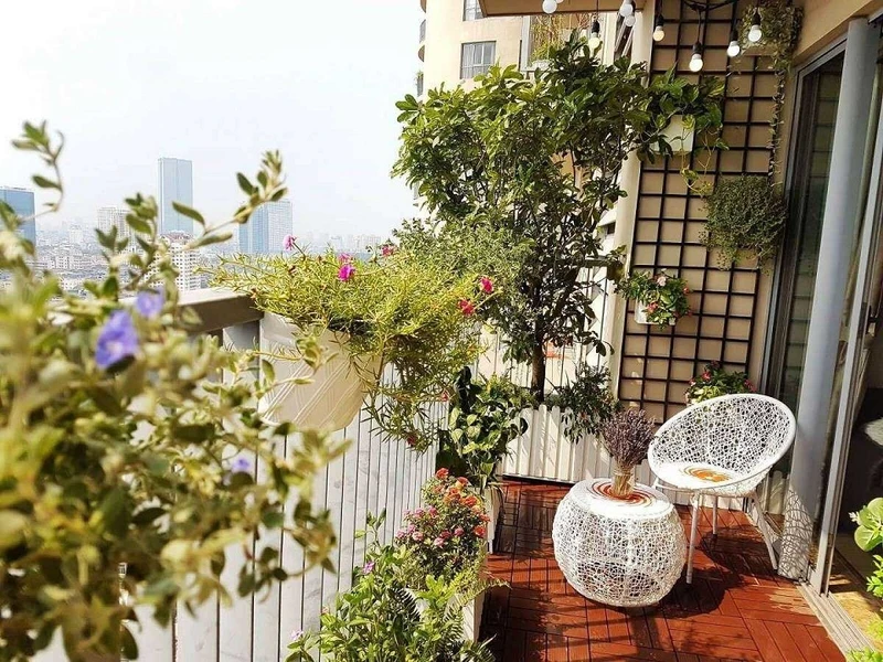Trang trí ban công chung cư nhỏ với chậu cây xanh