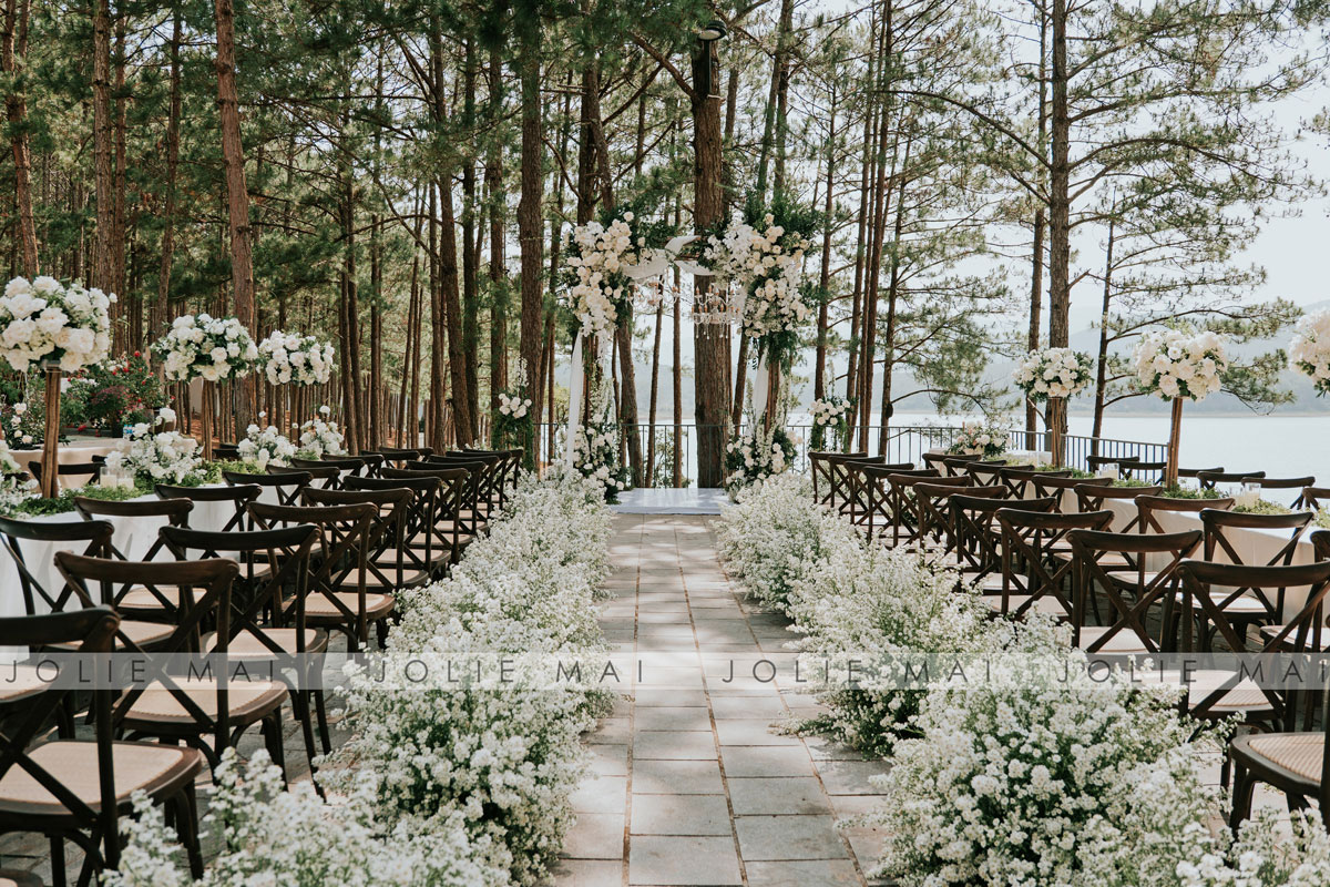 Cặp đôi chụp ảnh cưới tại đồi thông Đà Lạt với sương mù và cảnh quan hùng vĩ