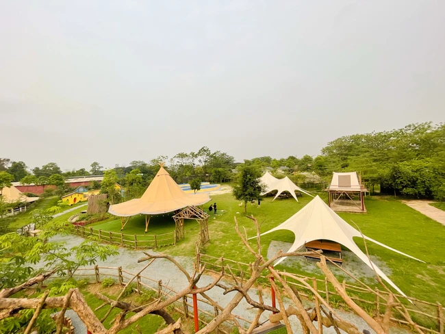 Khu vực lều trại và cảnh quan yên bình tại TreeFarm Glamping