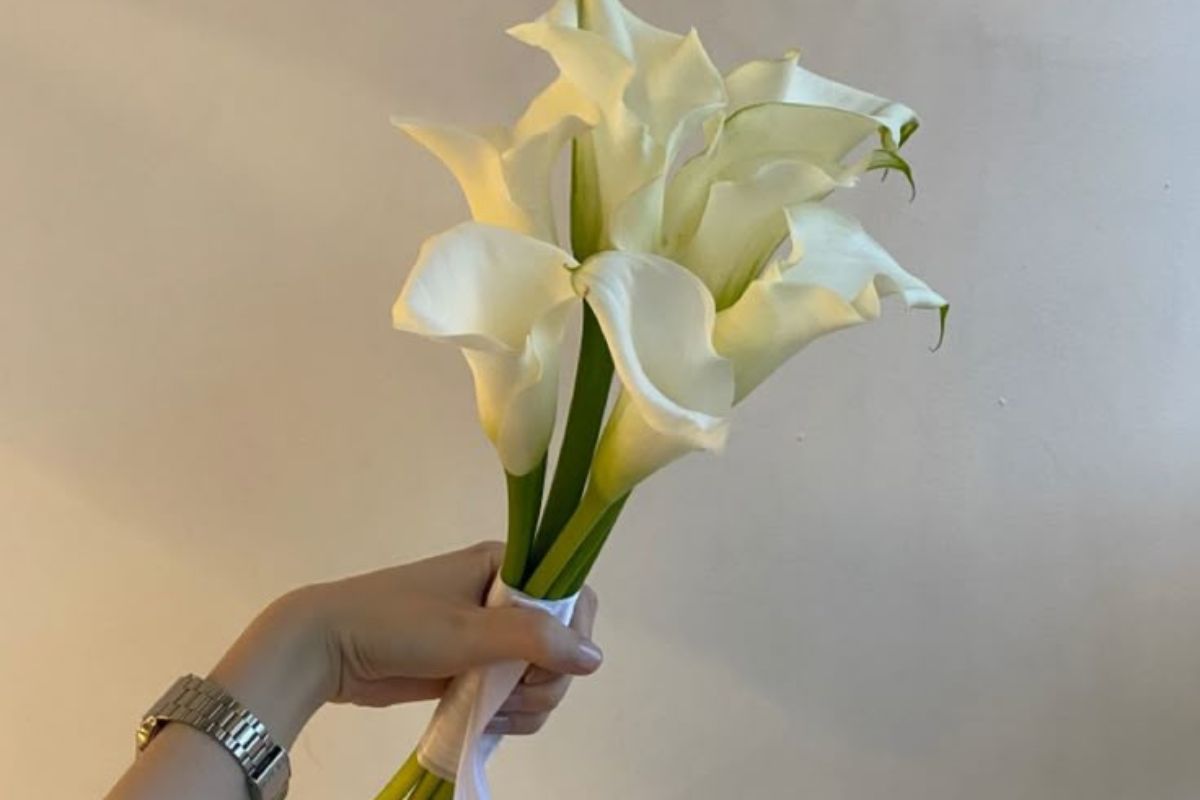 Single stem tạo điểm nhấn thu hút và unconventional
