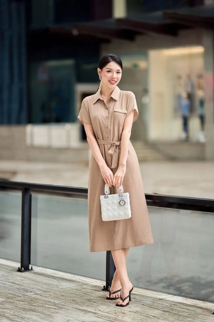 Đầm công sở nữ thanh lịch có thể ứng dụng đi tiệc nhẹ