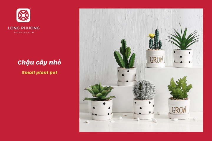 Chậu cây mini decor phòng tân gia