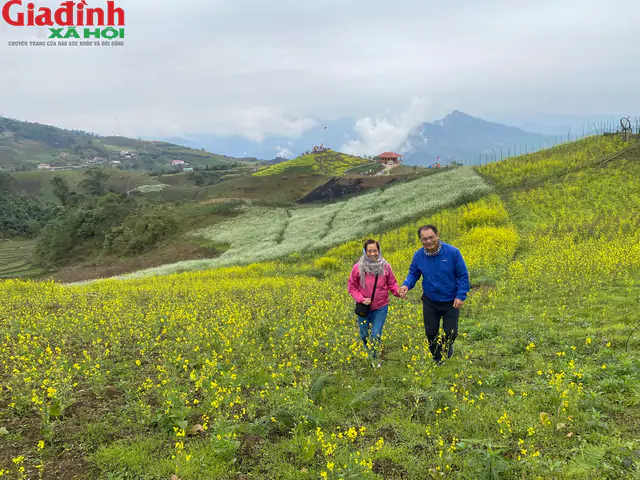 Kinh nghiệm du lịch Na Hang - Tuyên Quang: Tất cả những điều cần biết