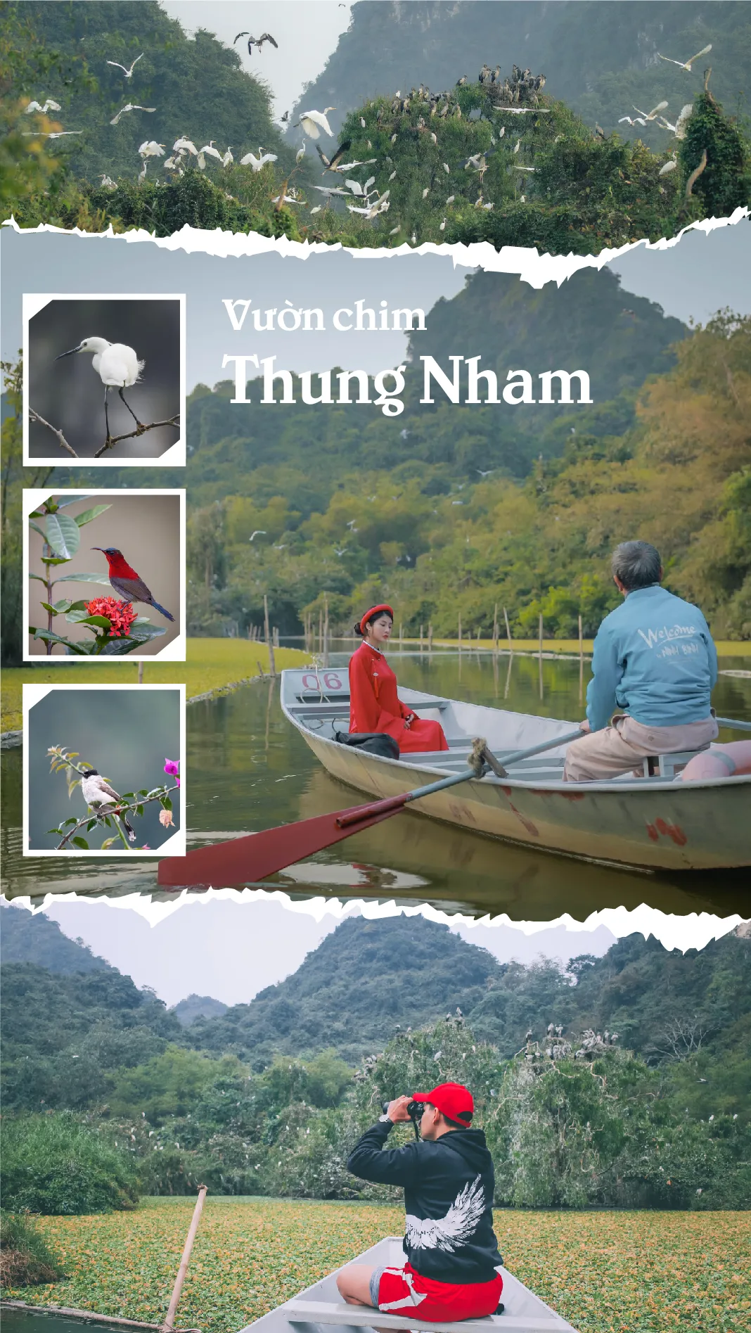 Vườn chim Thung Nham gần khu Tràng An, Ninh Bình