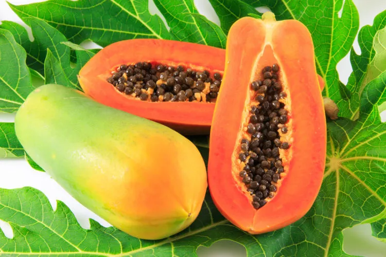 Ăn đu đủ có tác dụng gì