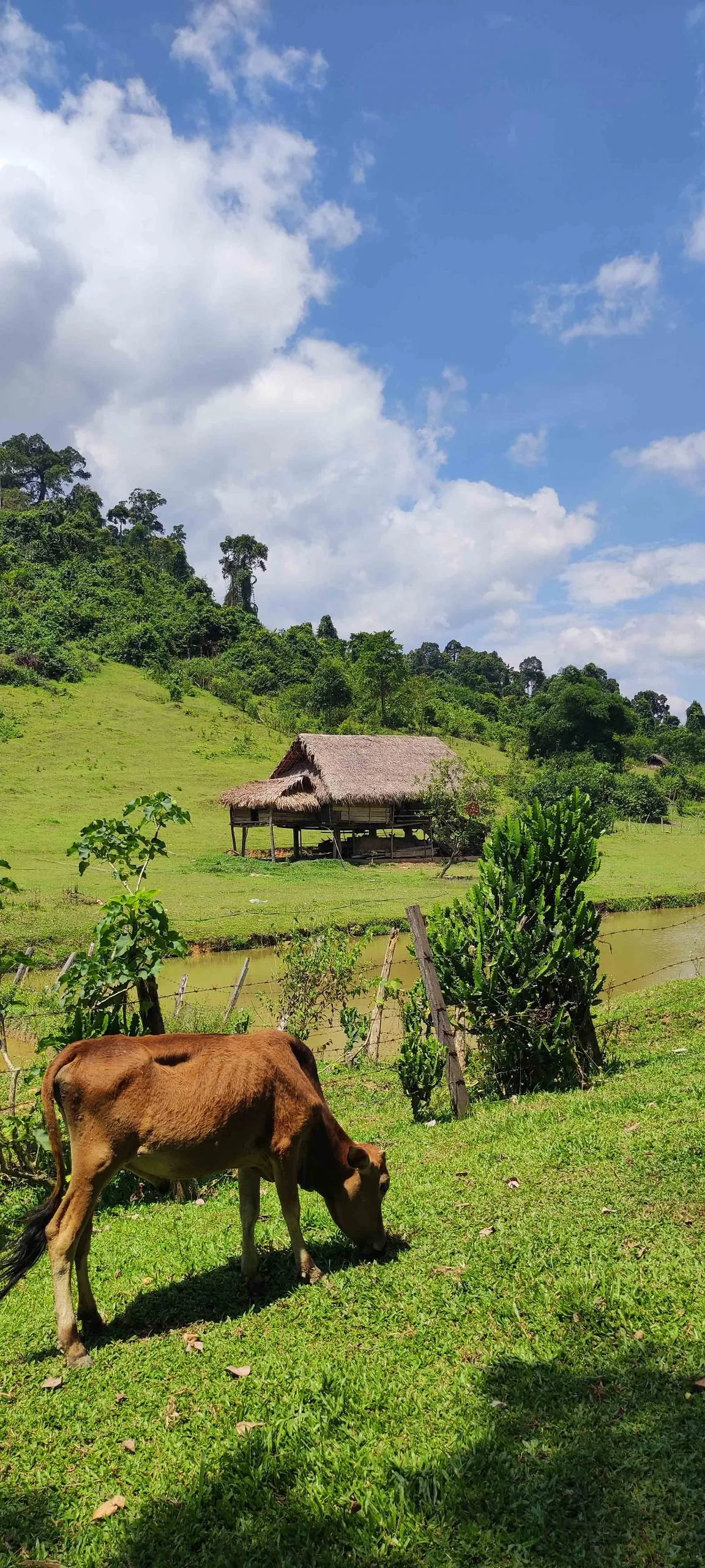 Bản Cò Phạt hoang sơ, nơi sinh sống của tộc người Đan Lai