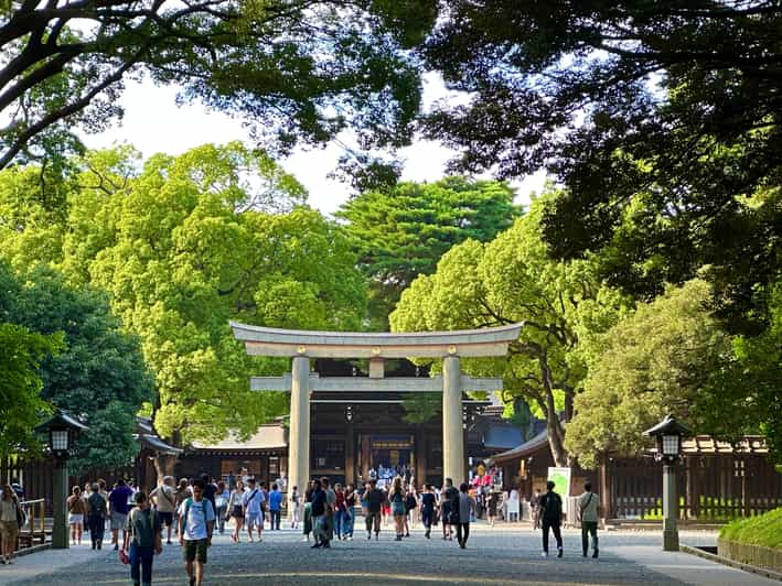 Tokyo: Meiji Jingu Shrine Historical Walking Tour