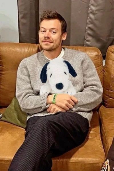 Soft boy, E boy và Harry Styles
