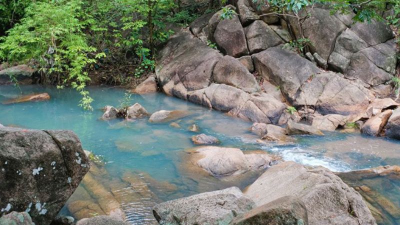 Suối đá Vũng Tàu giữa núi và cây