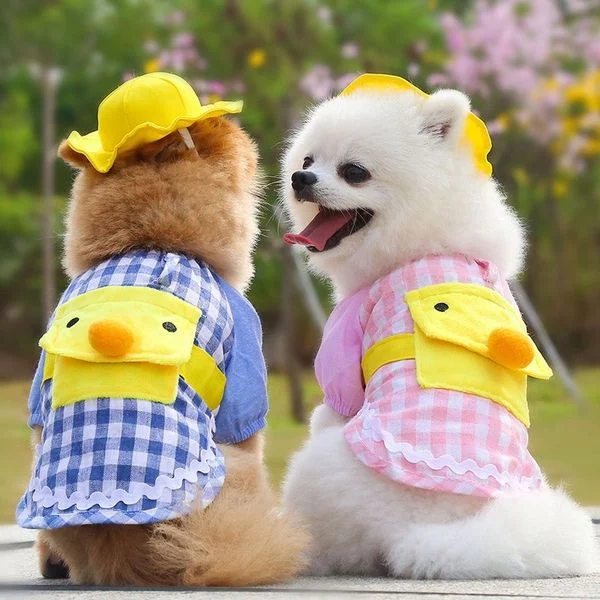 Tái chế áo sơ mi cũ cho thú cưng