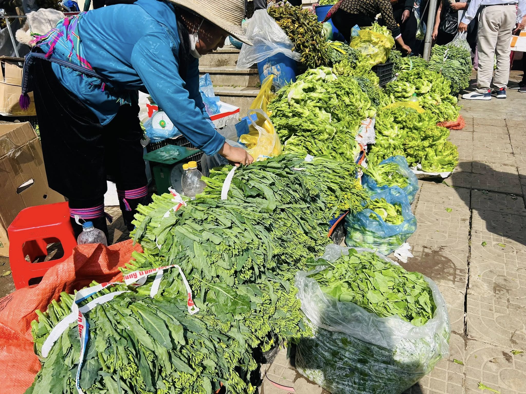Bức tranh mưu sinh tĩnh lặng dưới màn sương sớm