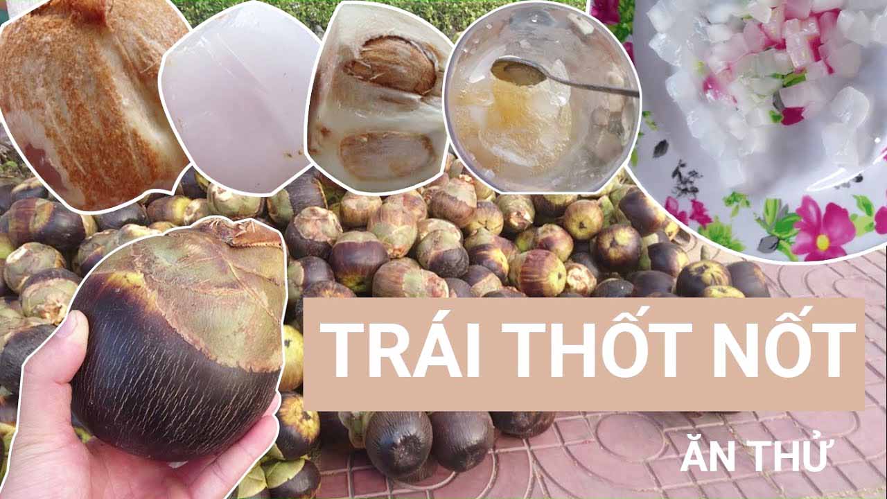 Trái cây đặc sản miền Tây Nam Bộ, nổi bật với dừa sáp, thốt nốt và sầu riêng Cái Mơn