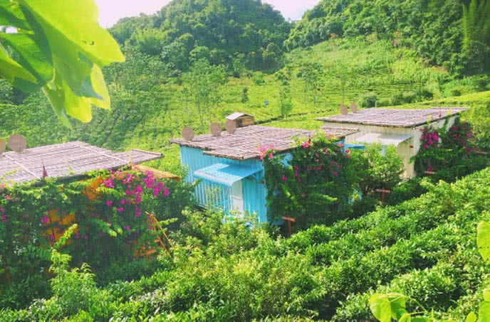 Arena Village