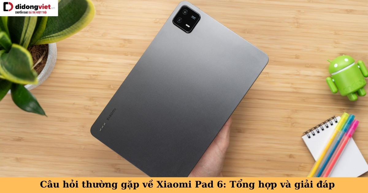 Câu hỏi thường gặp