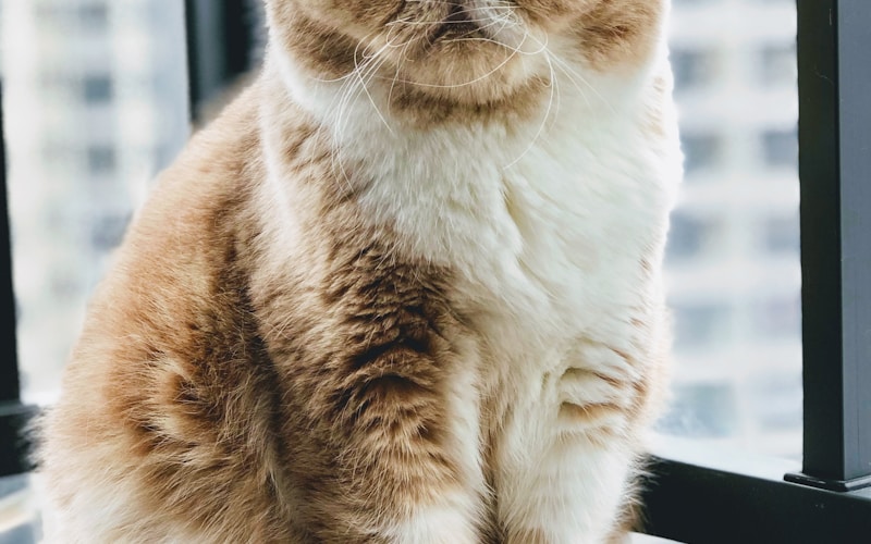 Làm đèn lồng Tết cùng gia đình