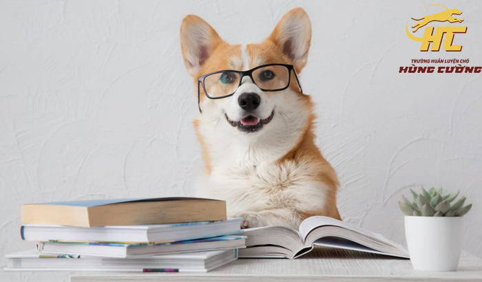 Phòng nghỉ du lịch tiết kiệm