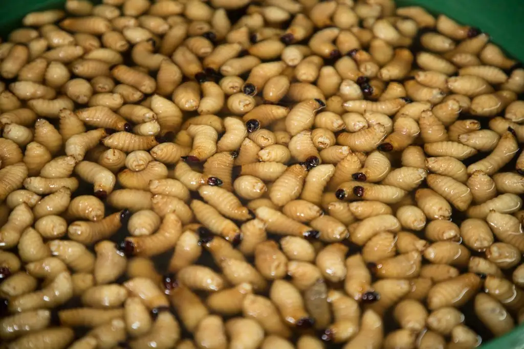 Ẩm thực đậm chất miền Tây